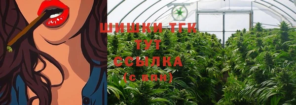прущий лед Лиски