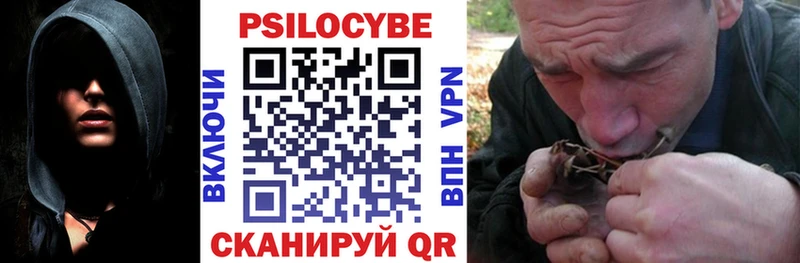 Псилоцибиновые грибы MAGIC MUSHROOMS  Мичуринск 
