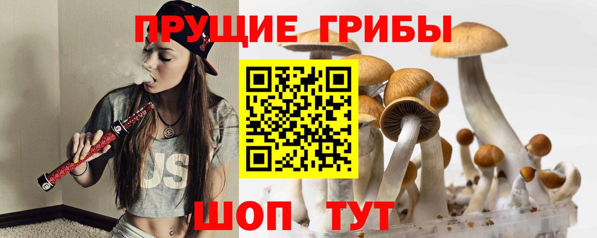 Галлюциногенные грибы ЛСД  Вход с VPN  Мичуринск 