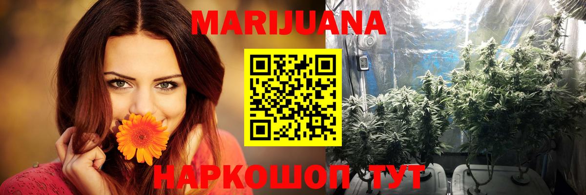 Бошки марихуана White Widow  МАРИХУАНА тримм  Бошки Шишки сатива  Вход с VPN  Мичуринск  Марихуана Amnesia 